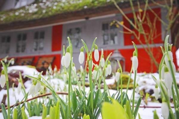 雷特公寓 Krems Zwei 外观 照片